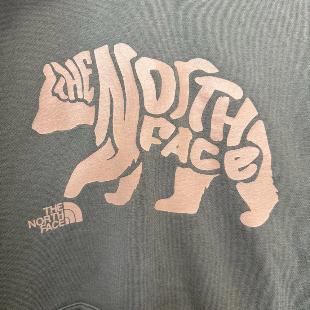 The North Face Men’s Circular Design Bear Logo Spell Out Green Hoodie Size XL